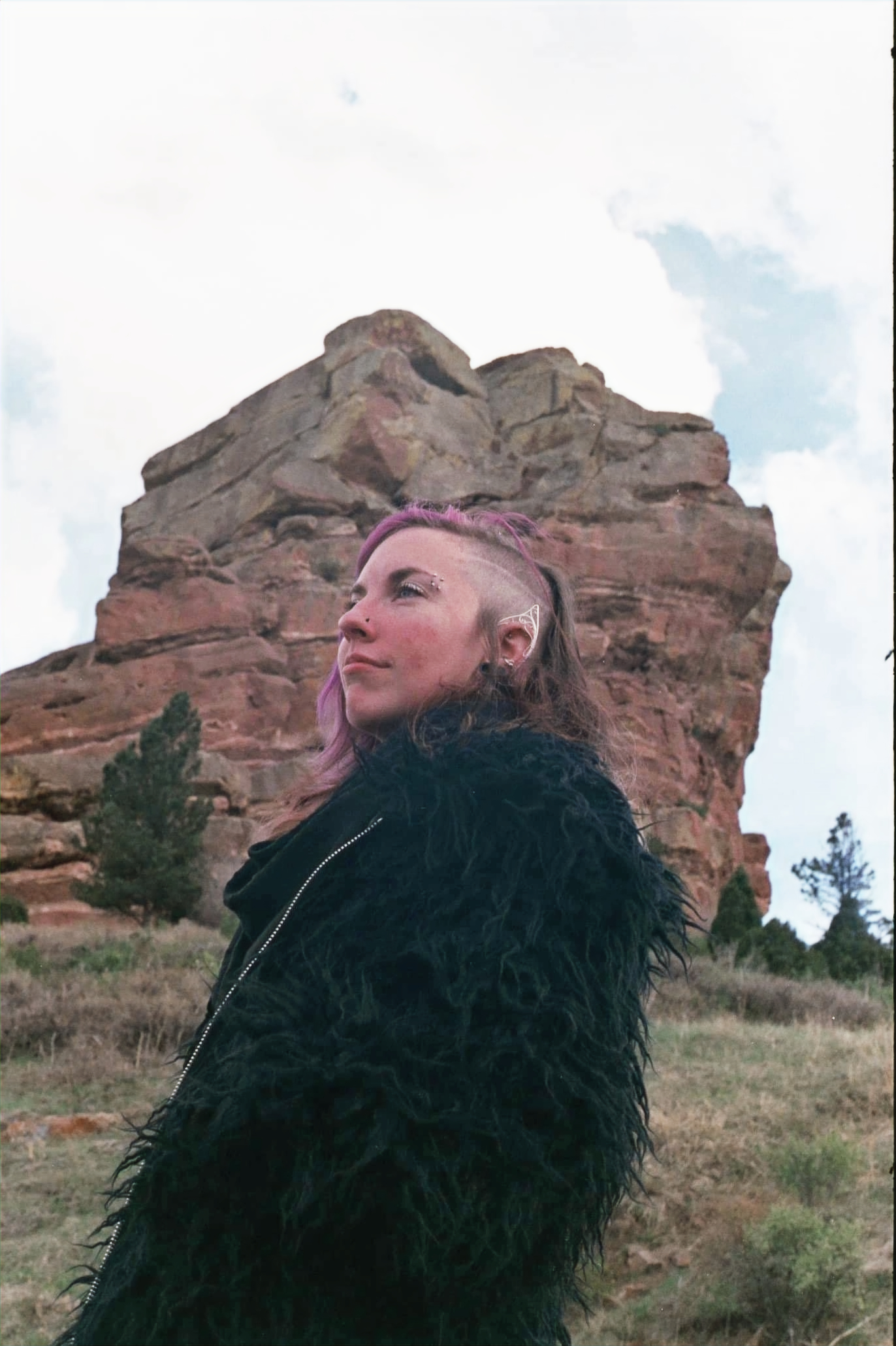 Sample analysis in progress